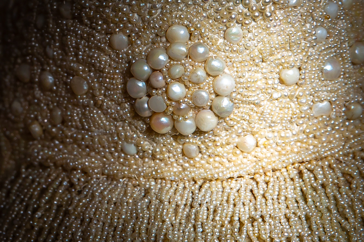 Фото: ГМЗ «Царское Село», Екатерина Новак