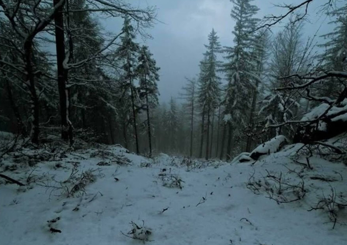 Алекс прибывает в Сноу-Ривер