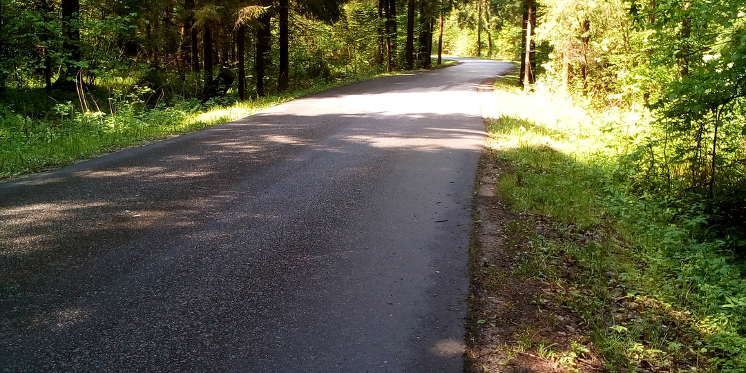 Как 20 км под рюкзаком по лесу избавляют от грусти и рутины. Совет уставшему работнику.