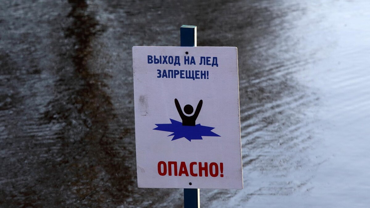    Фото: Zamir Usmanov/Global Look Press