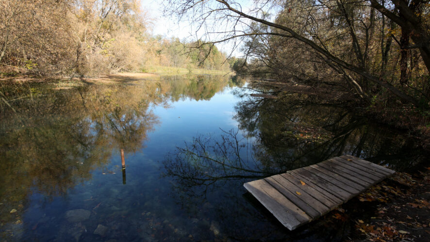    Фото: KazanFirst