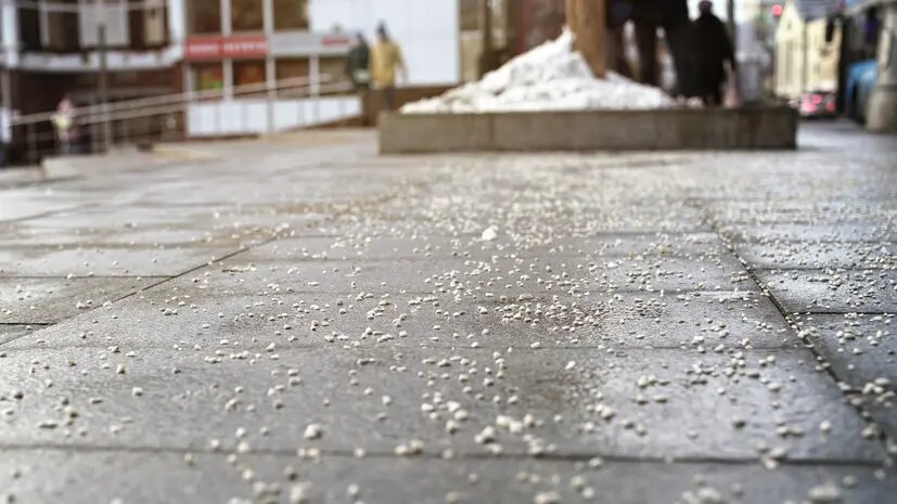    Источник: russian.rt.com Дмитрий Смирнов