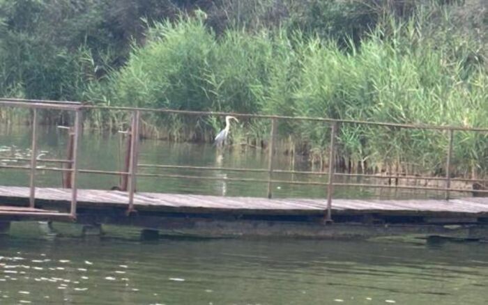 Иллюстрация: © «Панорама»\\ архив