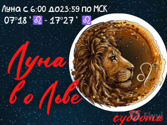 лкна во Льве