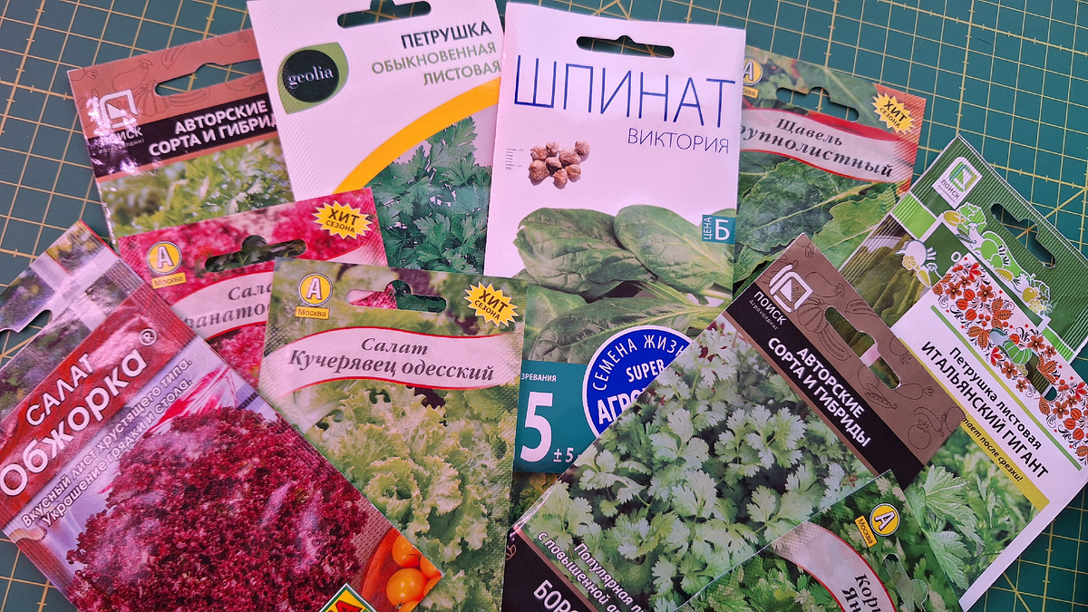 Фото автора. Семена для первого посева в теплицу