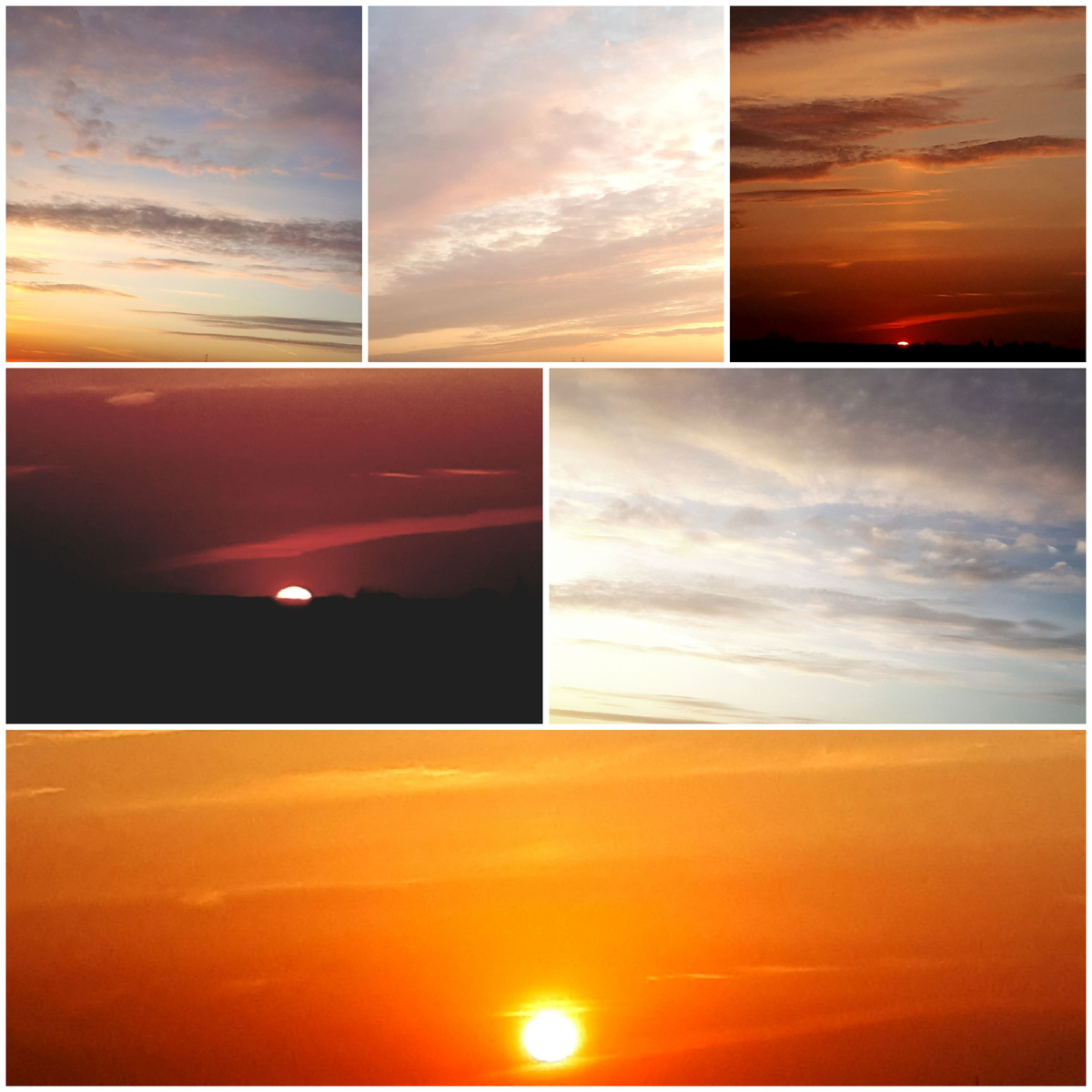 Коллаж автора 27.03.2026г.