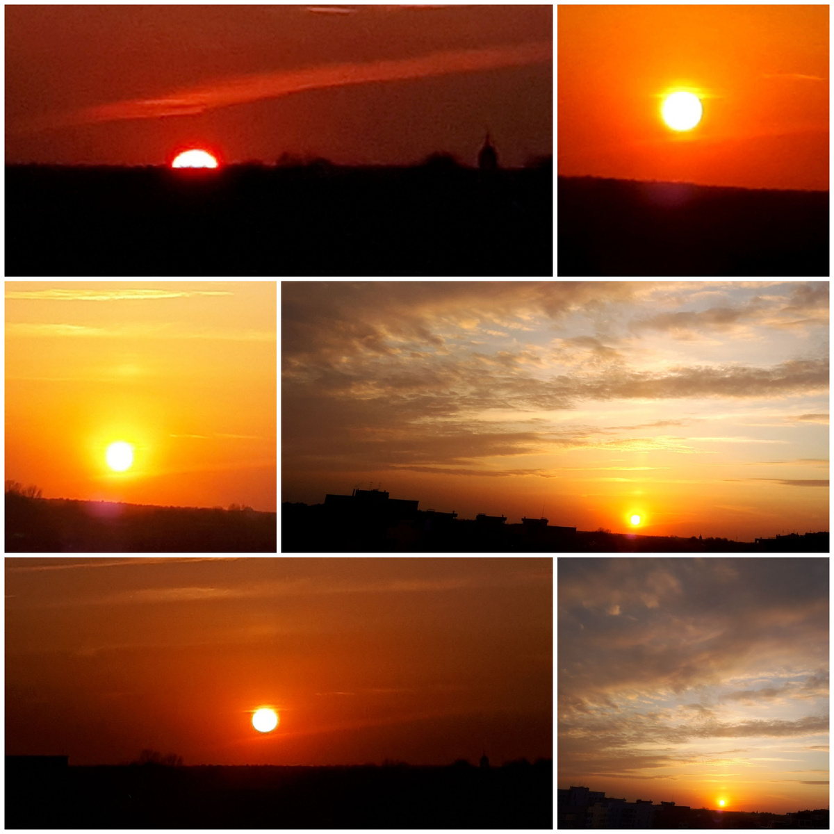 Коллаж автора 27.03.2026г.