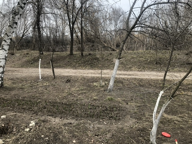 Дела домашние- бесконечные)))