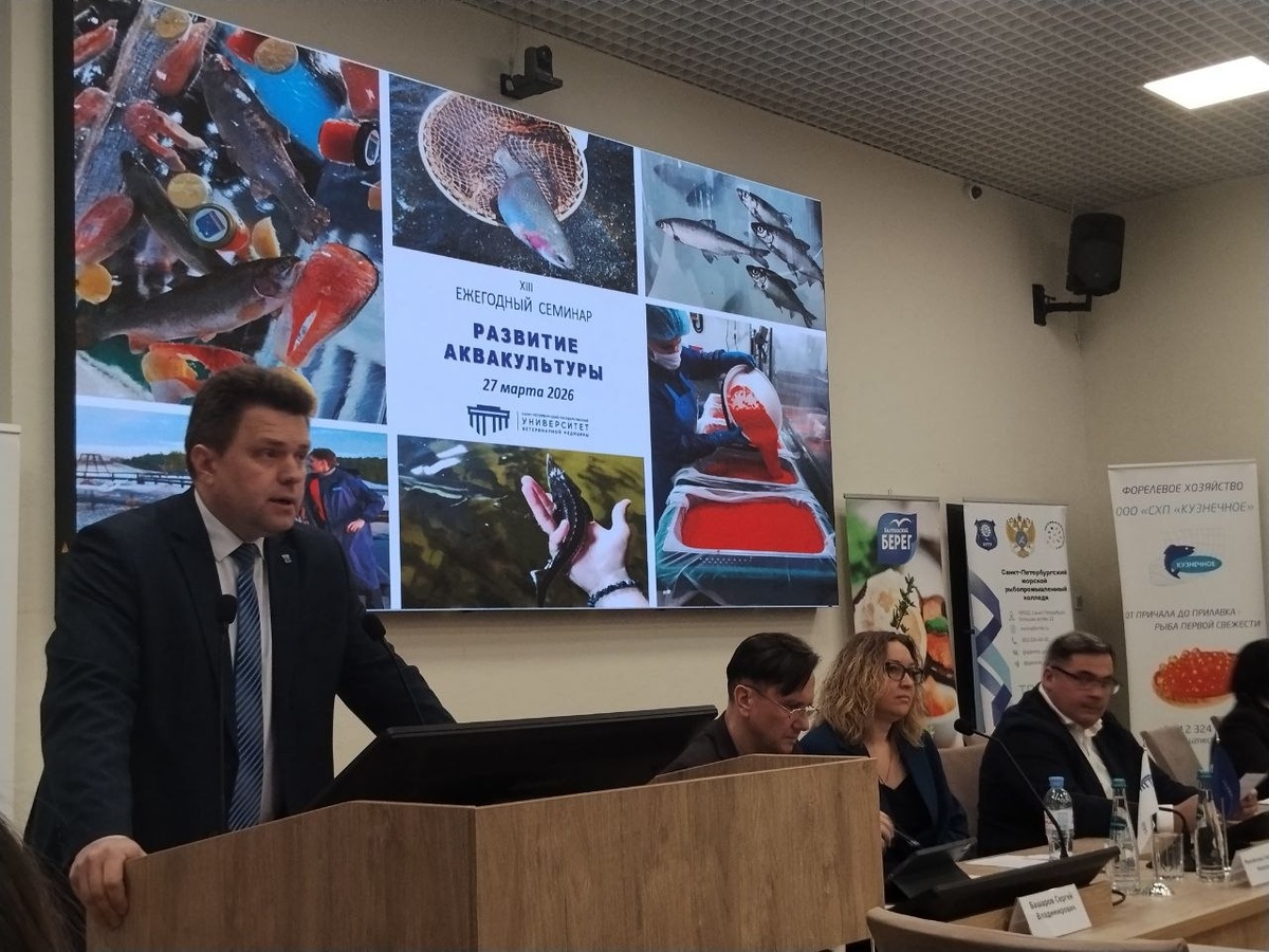 Фото: Полина Асланова