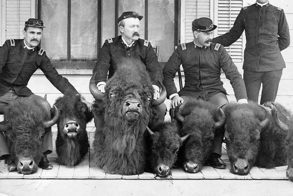 Охотники и трофеи