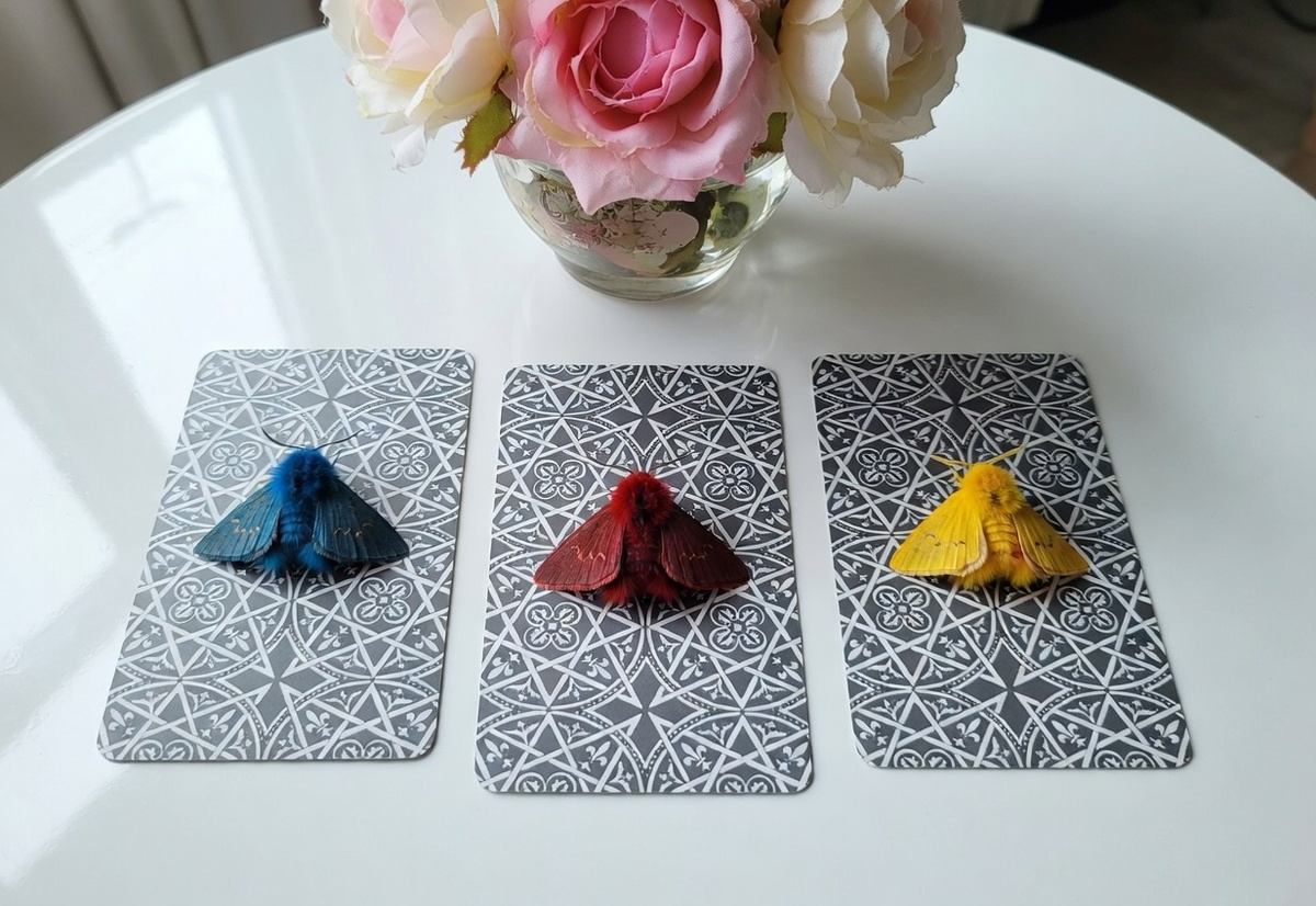 СОСРЕДОТОЧЬТЕСЬ И ВЫБЕРИТЕ СВОЮ КАРТУ