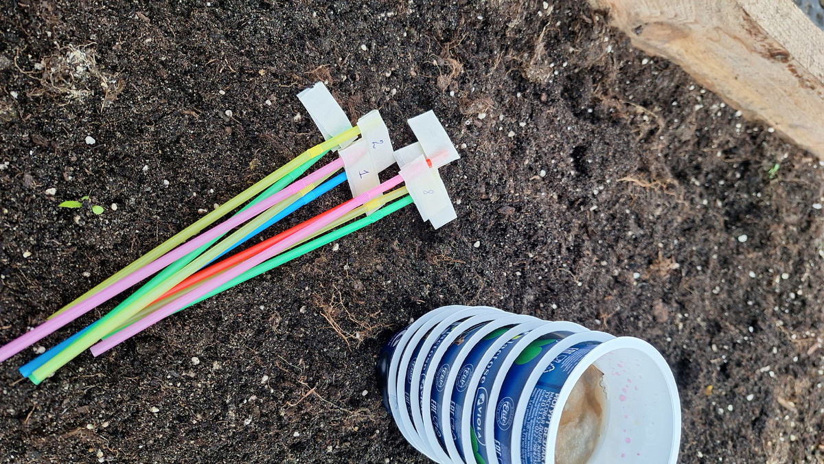 Фото автора. Подготовка к первому посеву семян