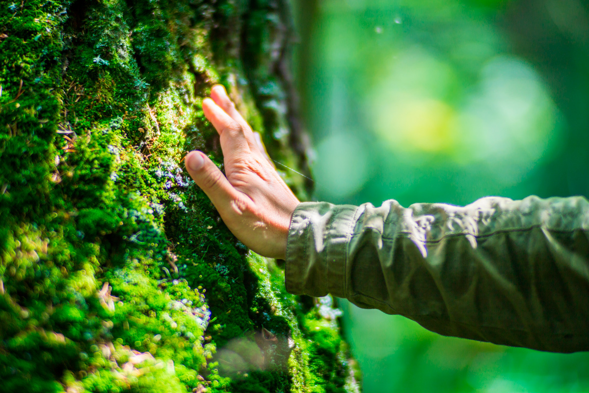    Фото: Shaplov Evgeny / Shutterstock.com