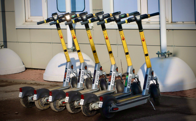    © Заневское городское поселение