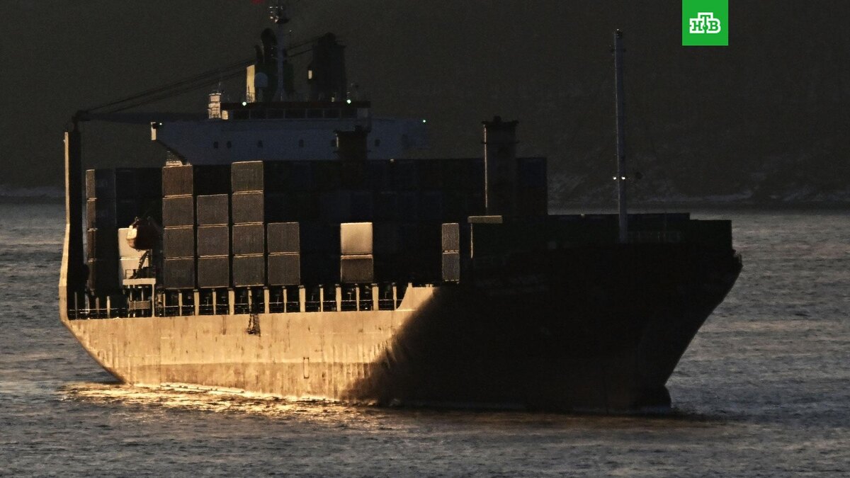    Фото: РИА Новости © 2026, Виталий Аньков