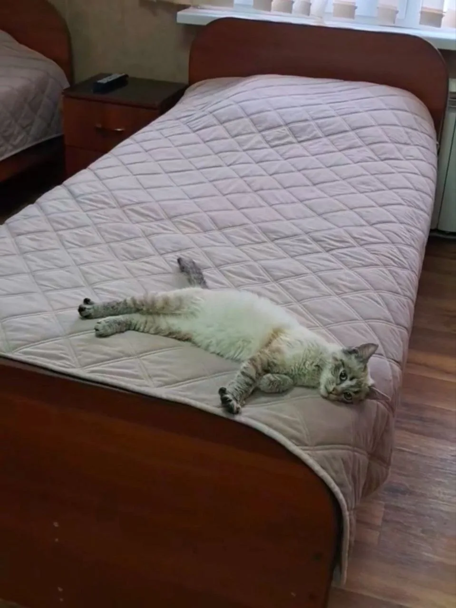 Вот такая картина предстала перед хозяевами отеля!