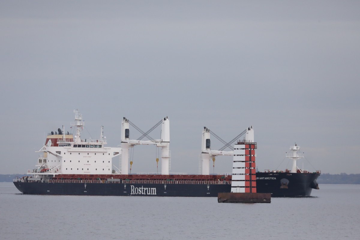 Фото: Александр Глуз / «Петербургский дневник»