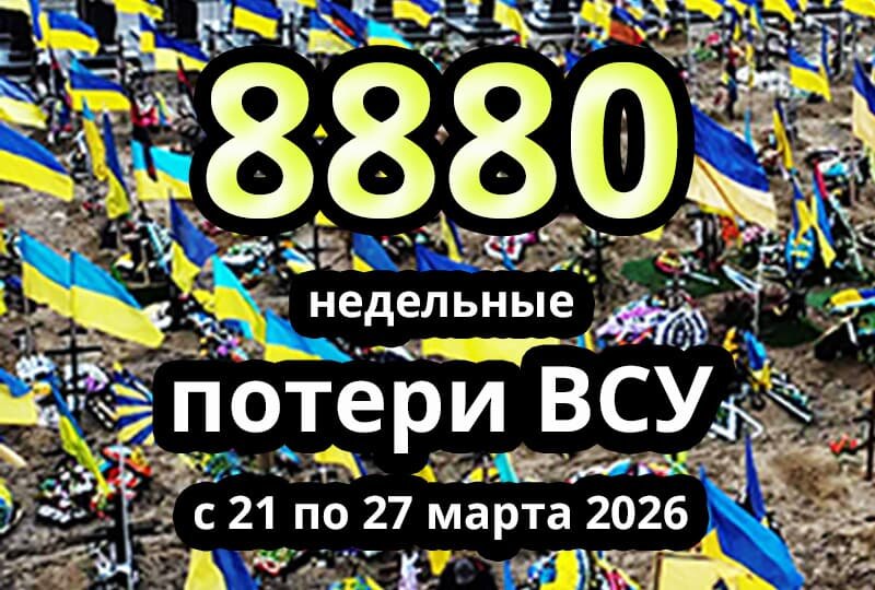    Недельные потери ВСУ