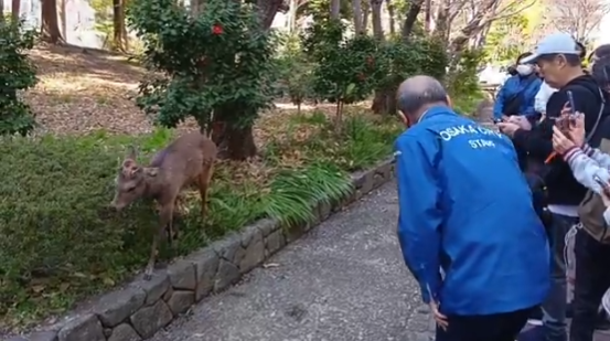 Как видите, на спине у мужчины написано Осака