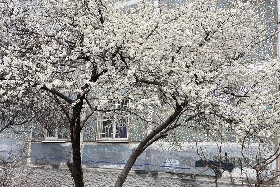    Фото: Маргарита Симоньян