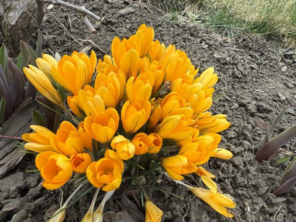    Фото: Л. Кравченко. Галина Ященко