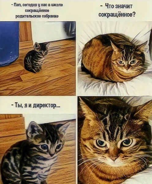 Источник для фото найден на просторах Интернета в открытом доступе yandex.ru