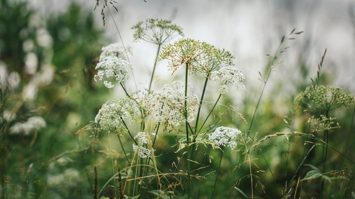    Фото: miss.lemon/Shutterstock/Fotodom