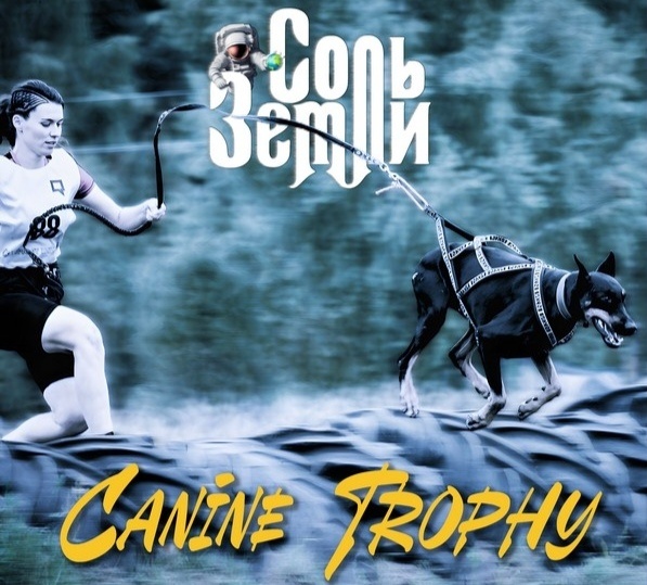 Трофейный сингл группы «Соль Земли»