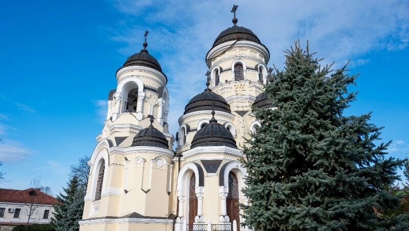      Фото: @frimufilms / ru.freepik.com