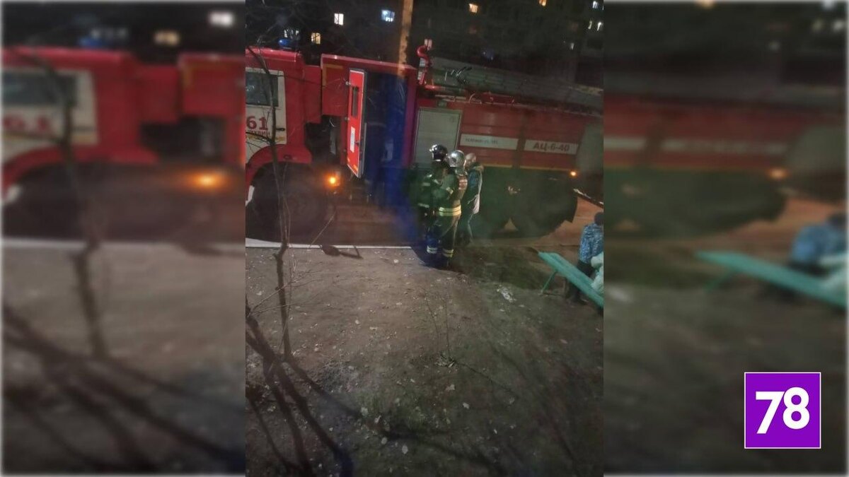    Фото: соцсети