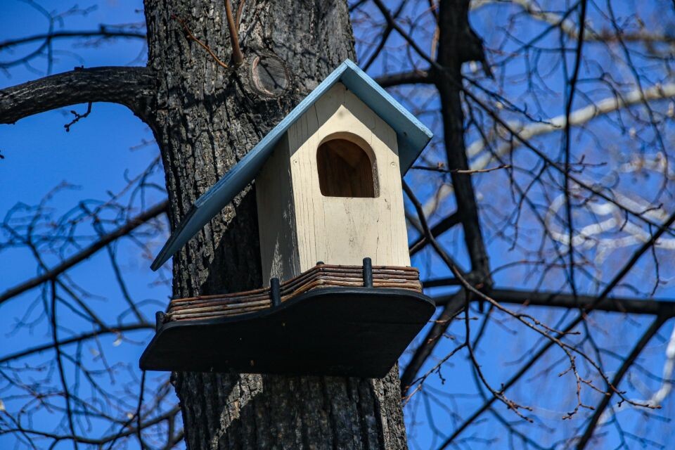    Нагорный парк, весна. Источник: Виталий Барабаш