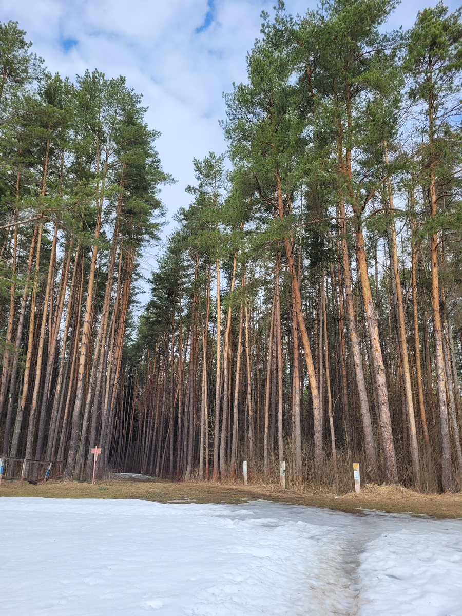 Путь на тропу "пешка"