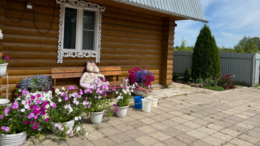    Фото: progorod43.ru