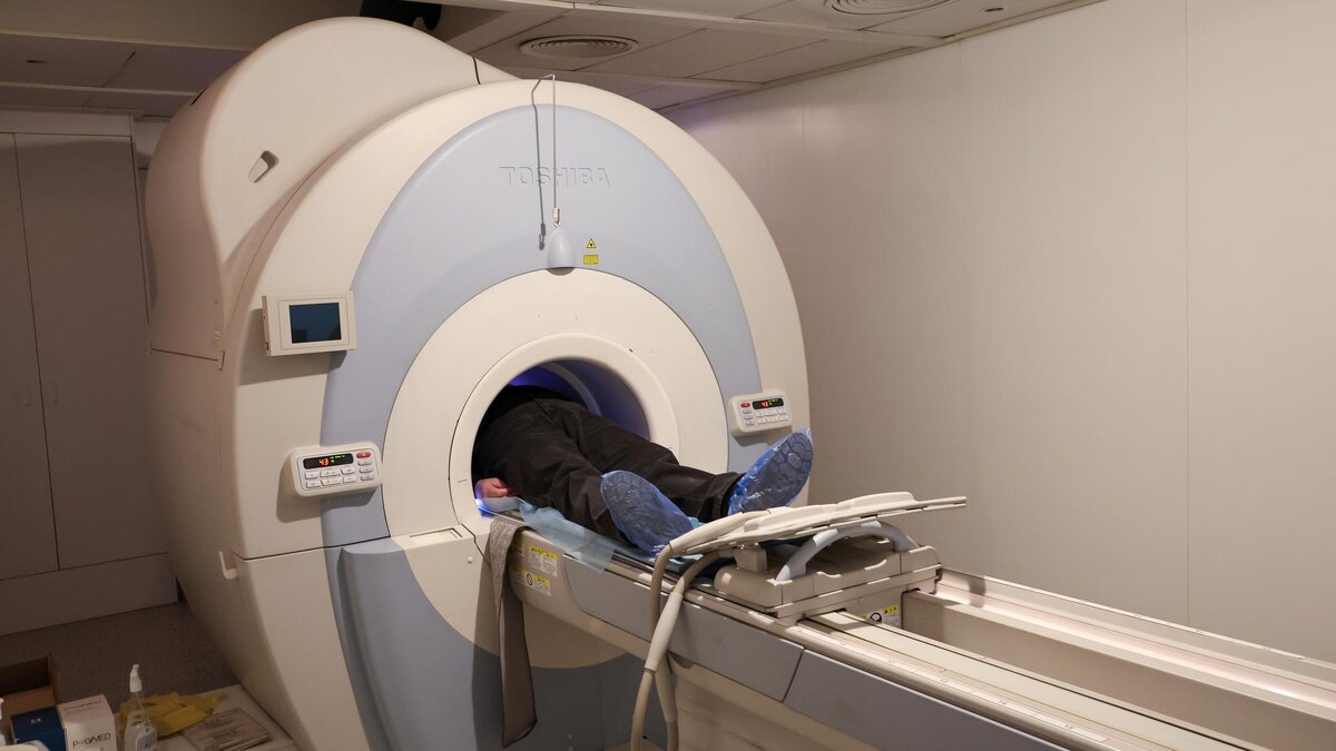    Фото: Belkin Alexey/news.ru/globallookpress.com