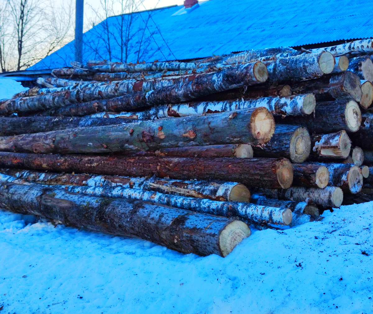 Очередная партия дров