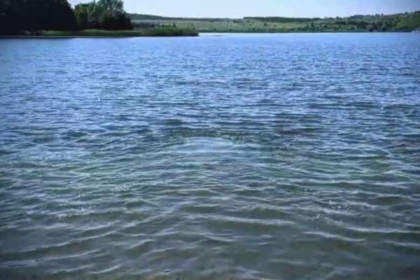    Фото МЧС РО Валерия Стальная