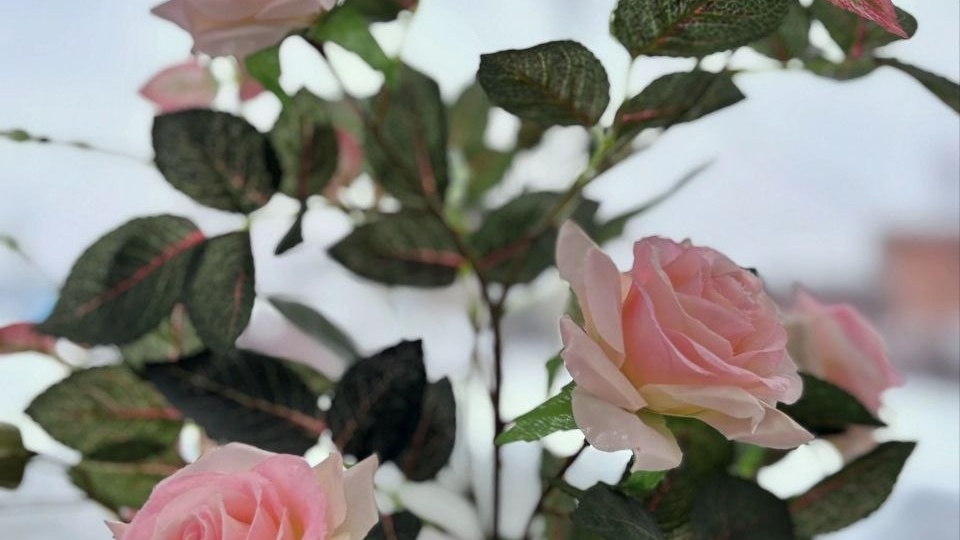 Доброе субботнее утро! Пусть в сердце будет светло и спокойно