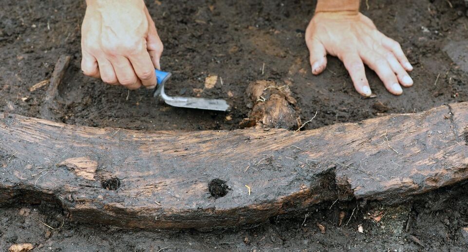    Bernd Wüstneck/dpa / www.globallookpress.com