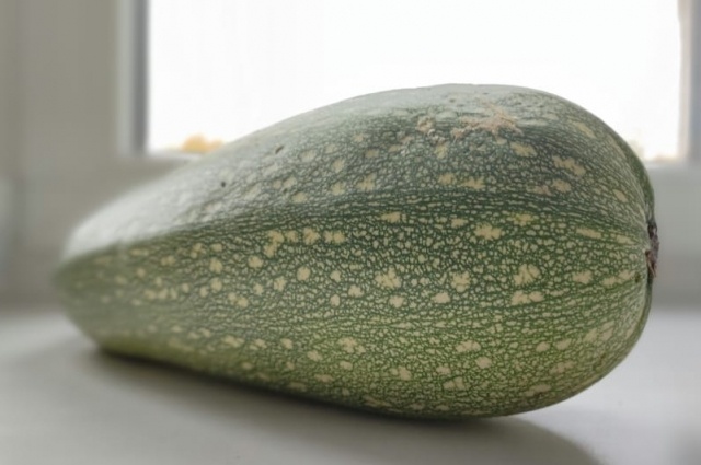    Фото: АиФ/ Екатерина Волкова