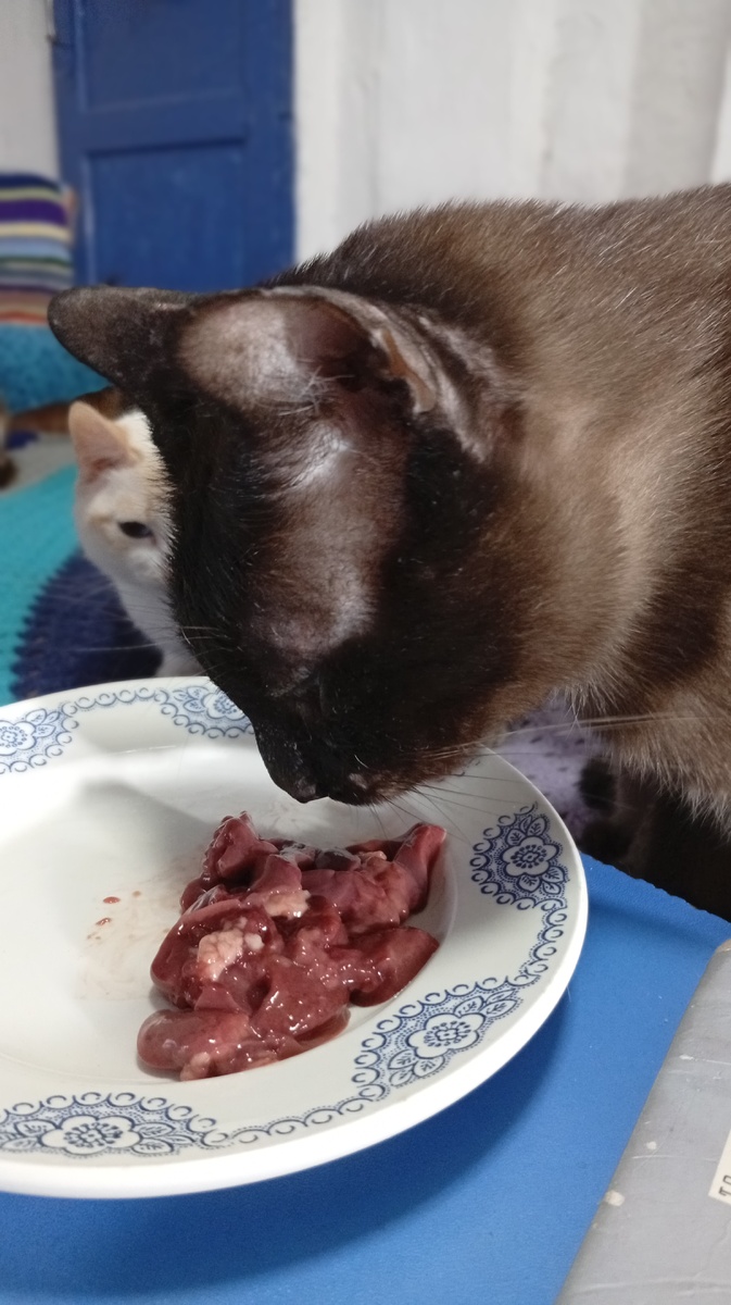 Фото из личного архива