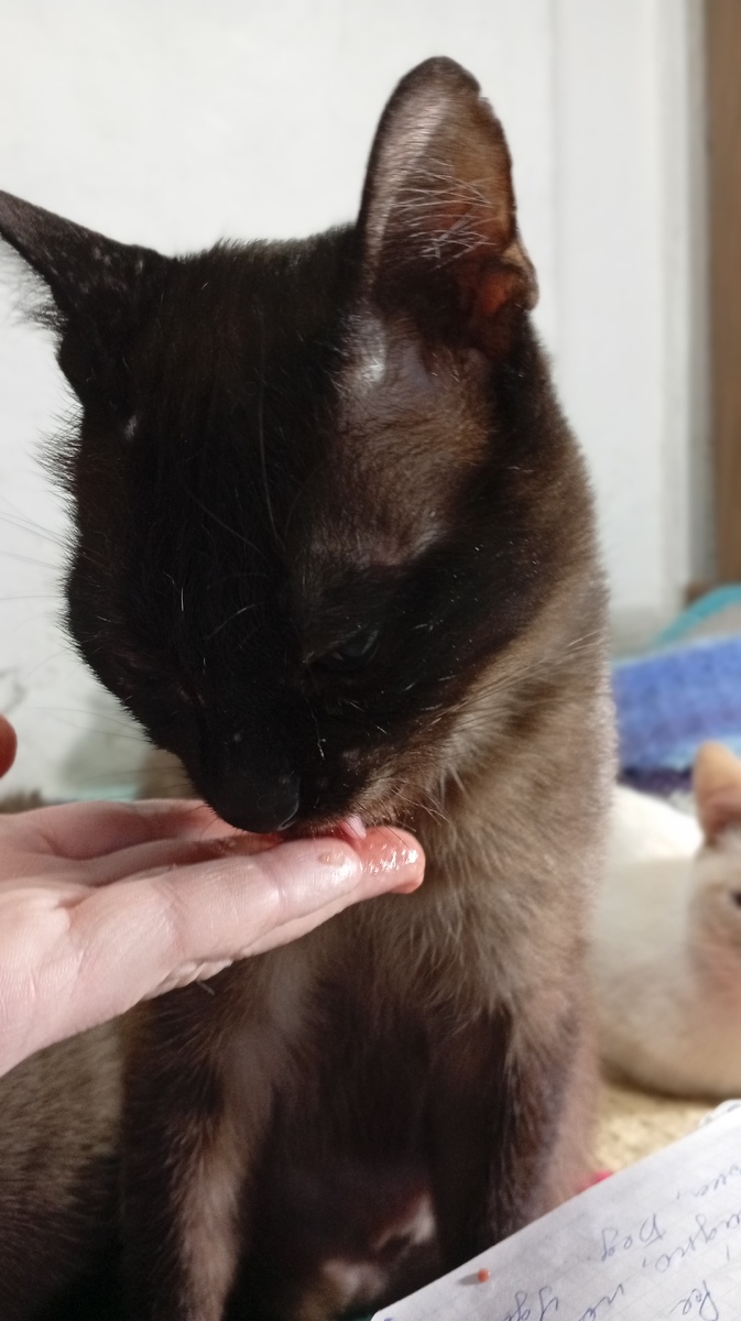 Фото из личного архива