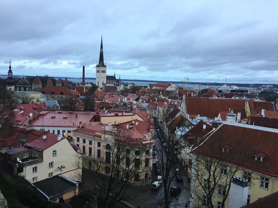    В Эстонии объяснили, почему не стали сбивать залетевший на территорию страны дрон ВСУ. Елена КРИВЯКИНА