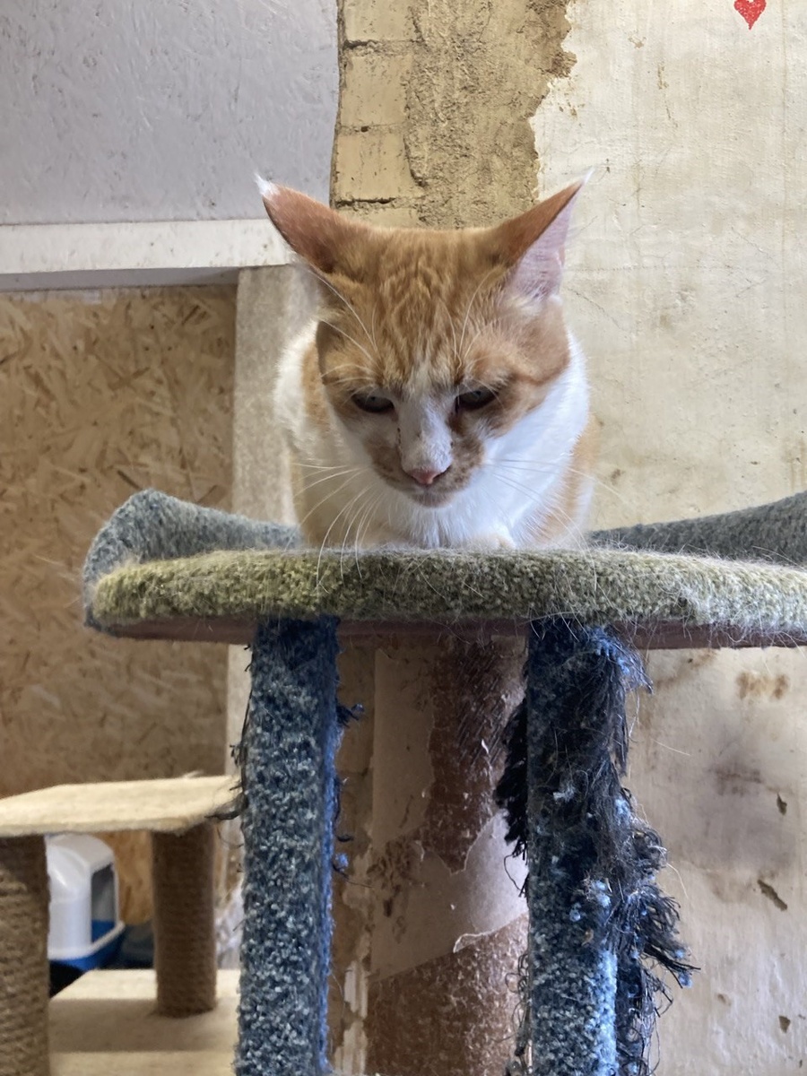 Ещё не пришла в себя