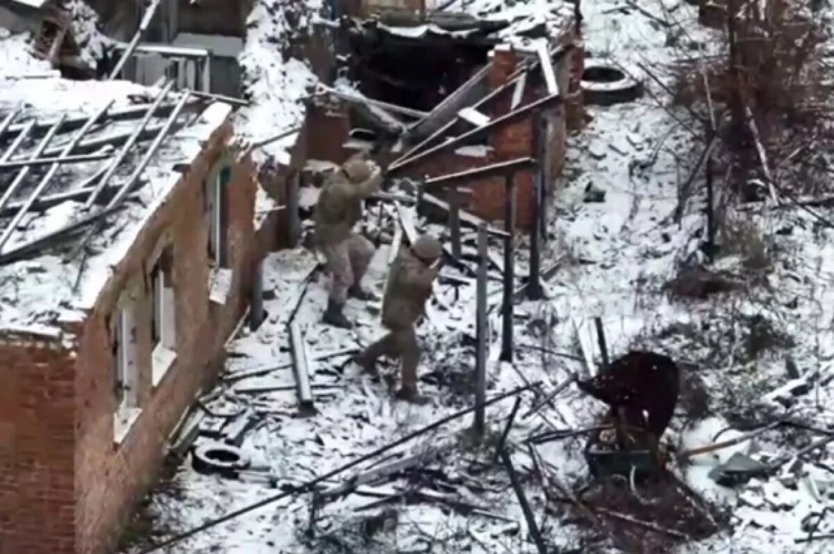    Выгрызали нацистские тату: офицер описал панику боевиков «Айдара» в плену