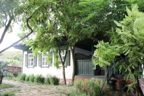    Иллюстрация фотобанка Ростовского отделения СЖР admin