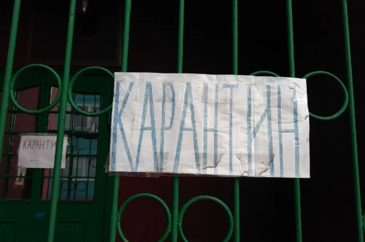    Четыре новых очага бешенства выявлены в Алтайском крае