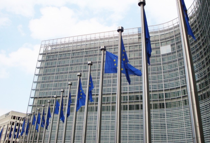 фото: pxhere.com