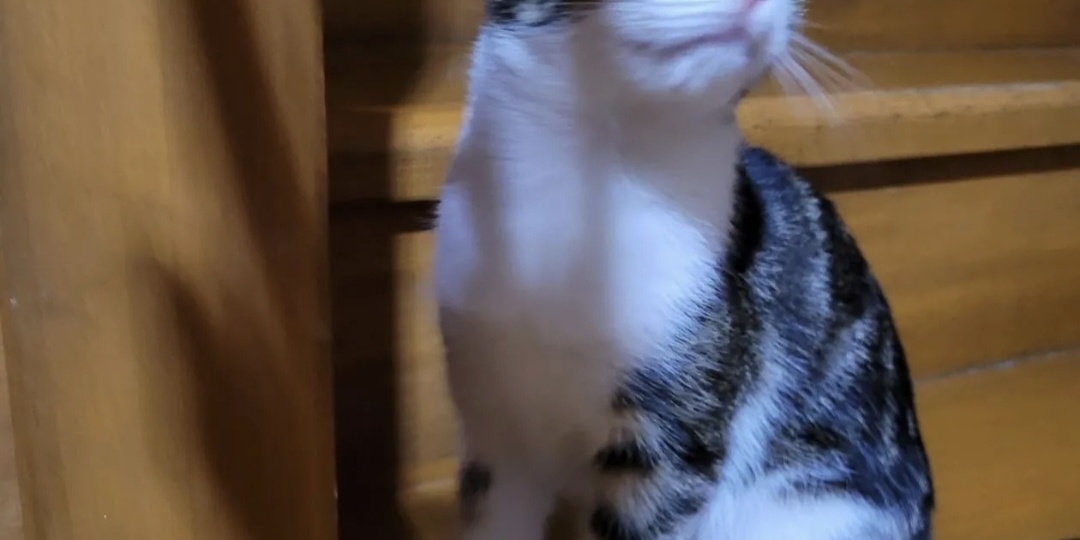 Посещение поликлиники