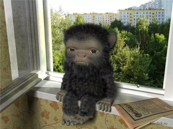 Барабашка по имени Нидоя: когда домовой решил устроить ремонт без разрешения (и с поджогами)