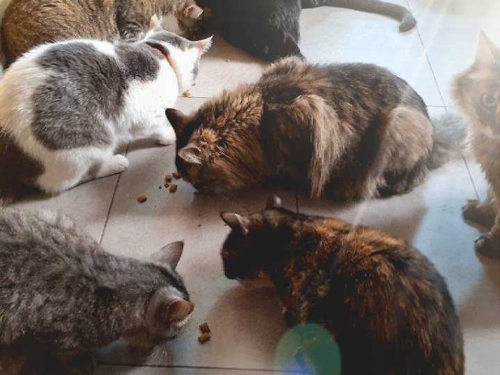 Помогите сохранить дом.